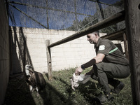 Centro de Recepción de Fauna Silvestre de Valonsadero