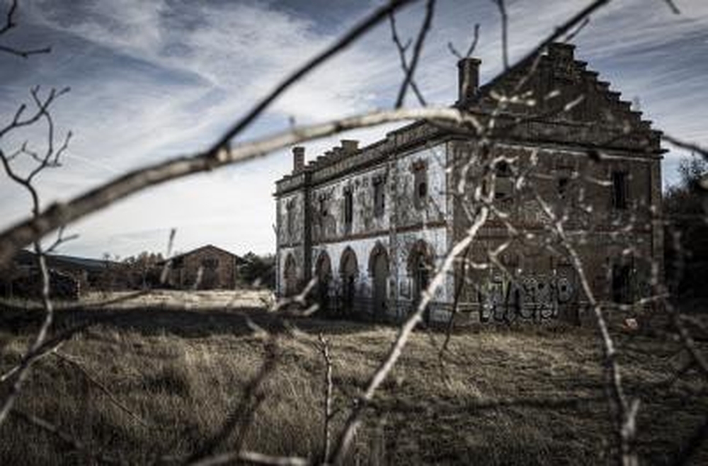 El Día de Soria