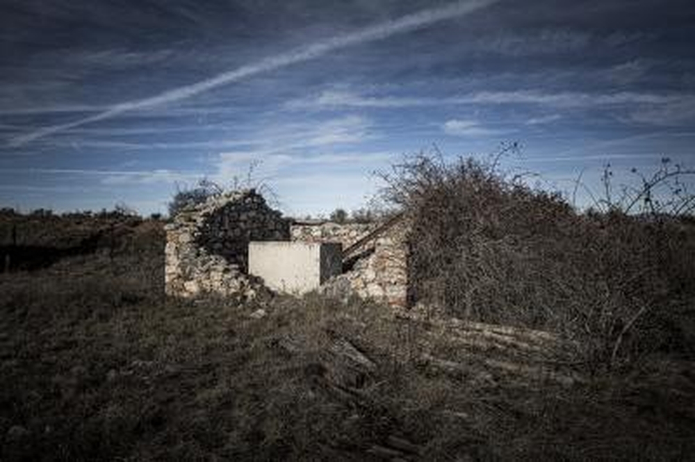 El Día de Soria