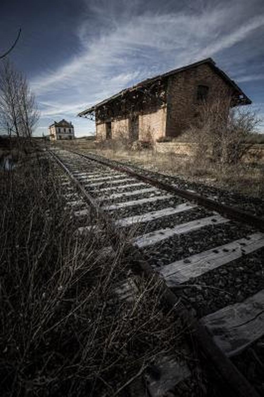 El Día de Soria