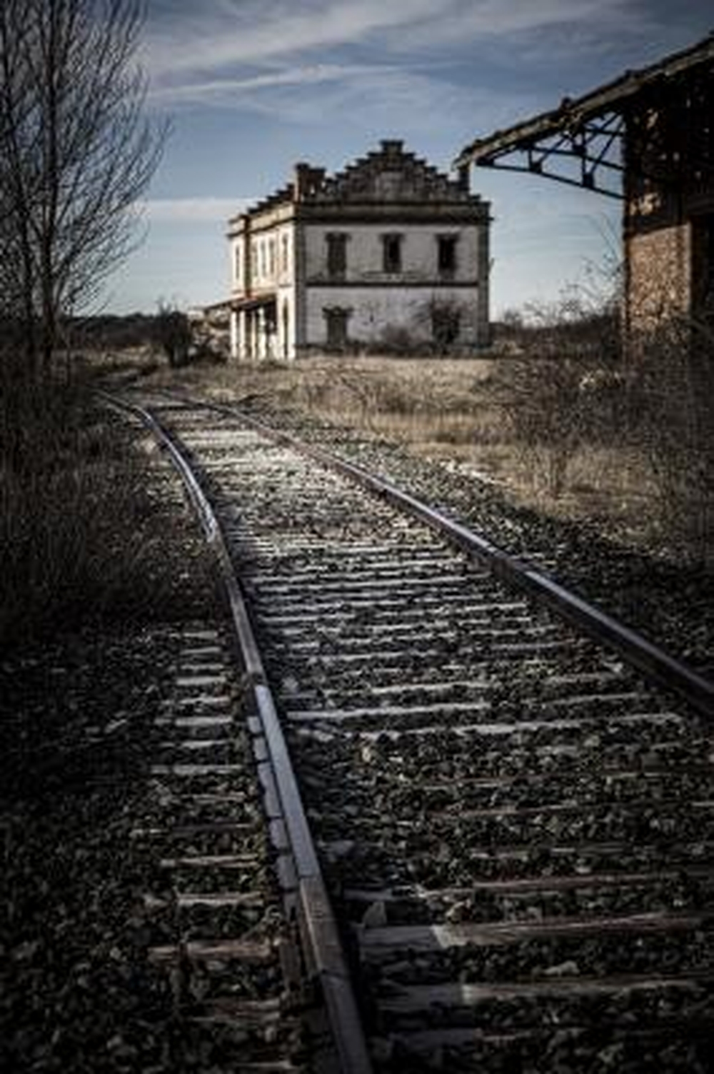 El Día de Soria