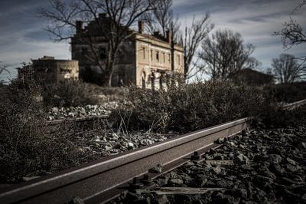 El Día de Soria