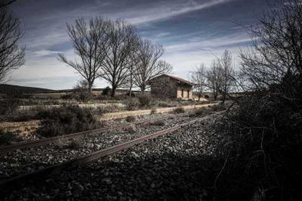 El Día de Soria