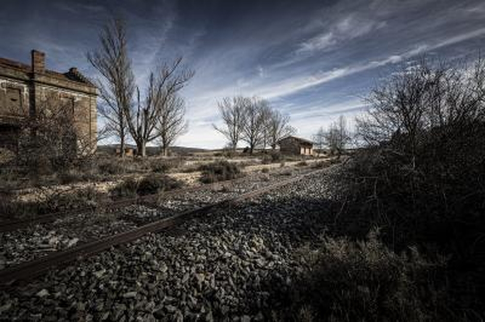 El Día de Soria