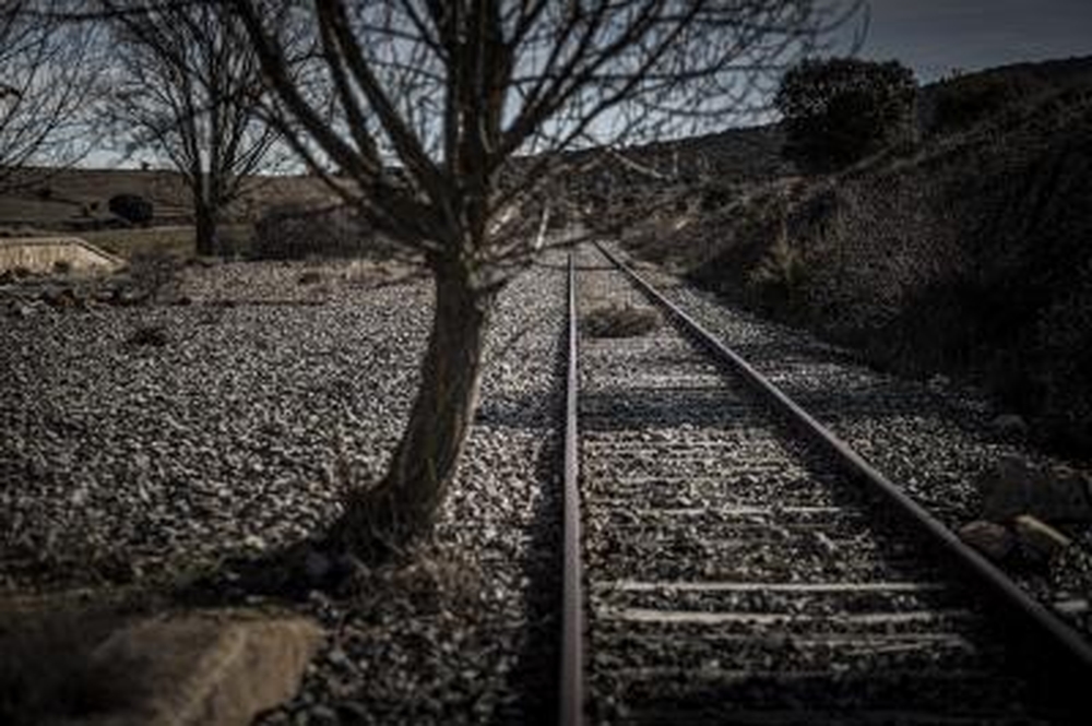 El Día de Soria