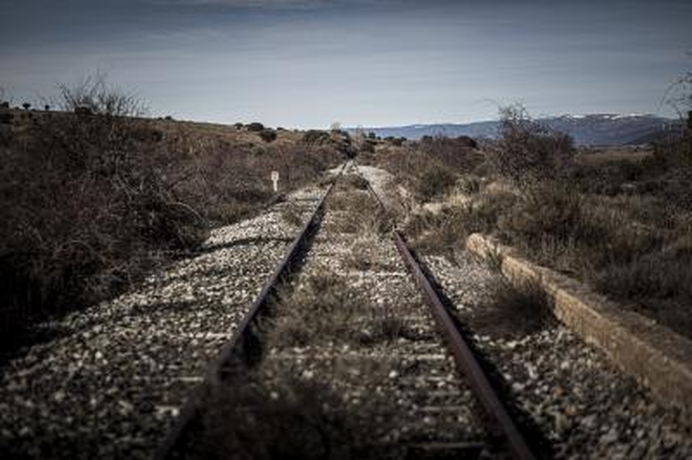 El Día de Soria