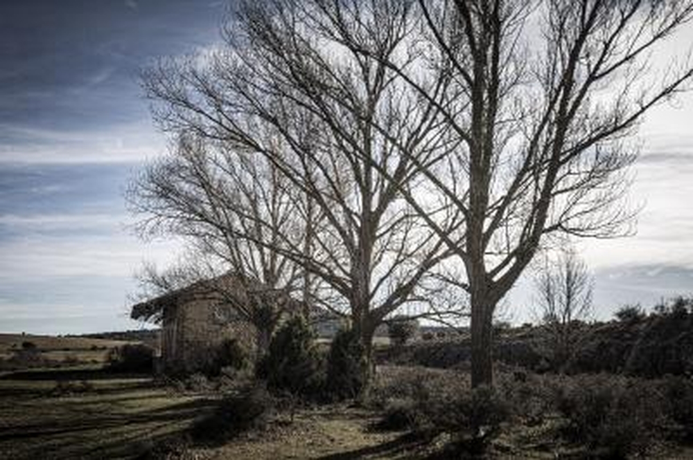 El Día de Soria