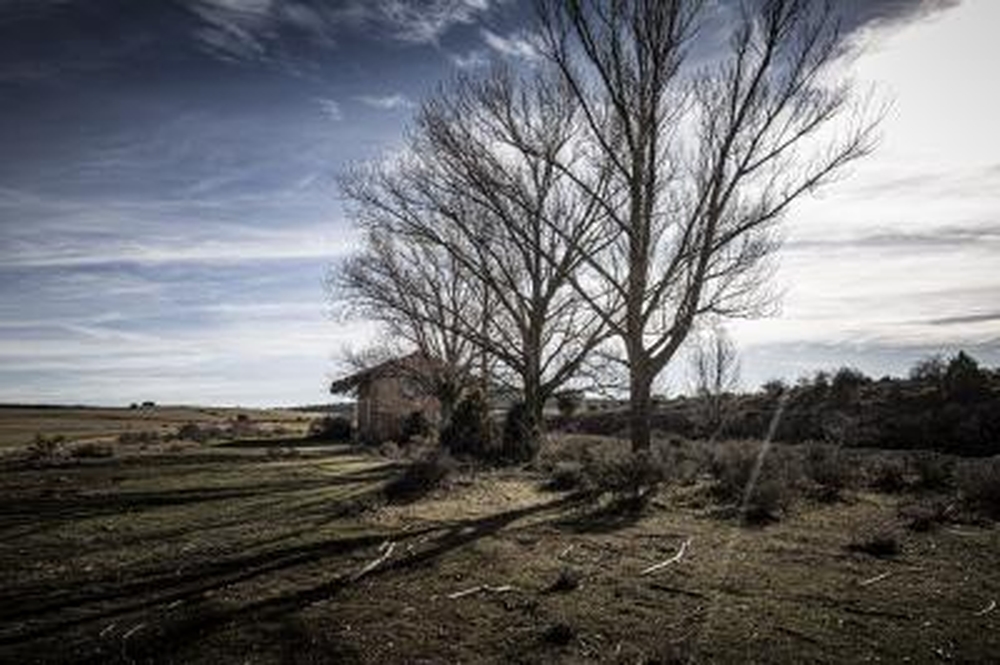 El Día de Soria