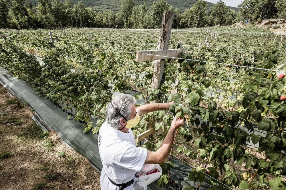 El Día de Soria