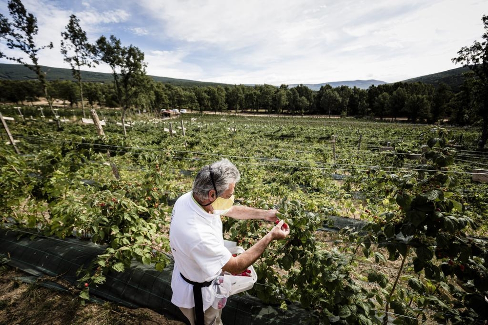 El Día de Soria