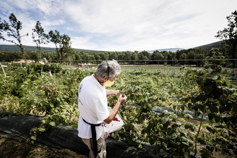 El Día de Soria