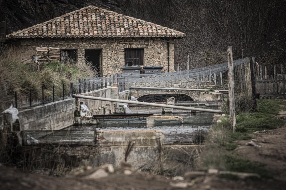 El Día de Soria