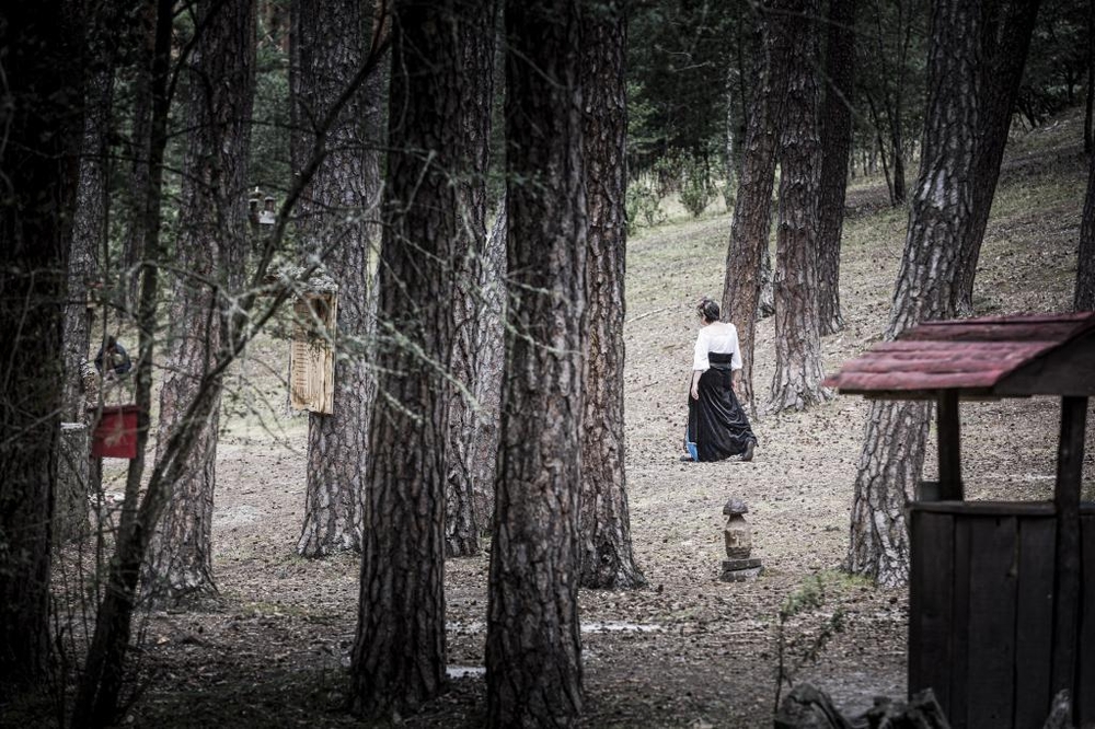 El Día de Soria