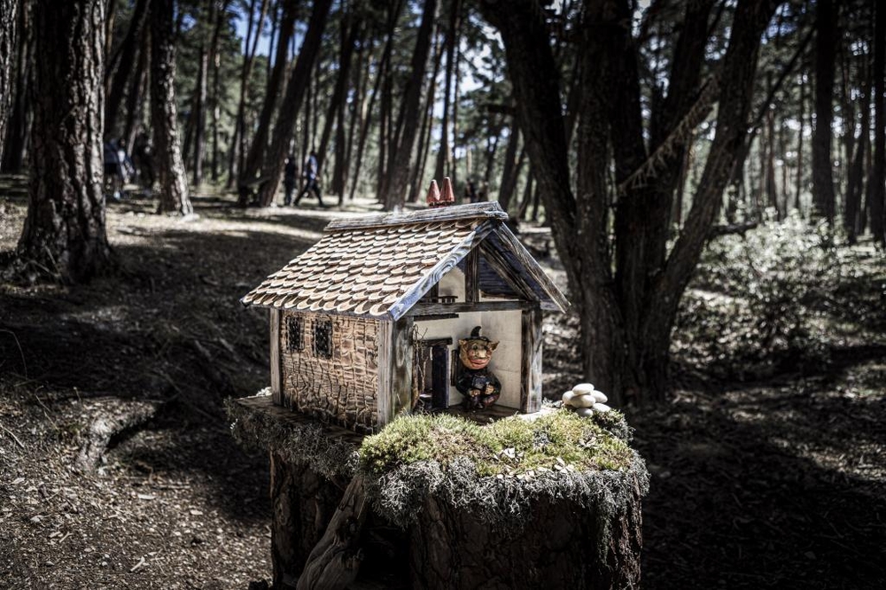 El Día de Soria