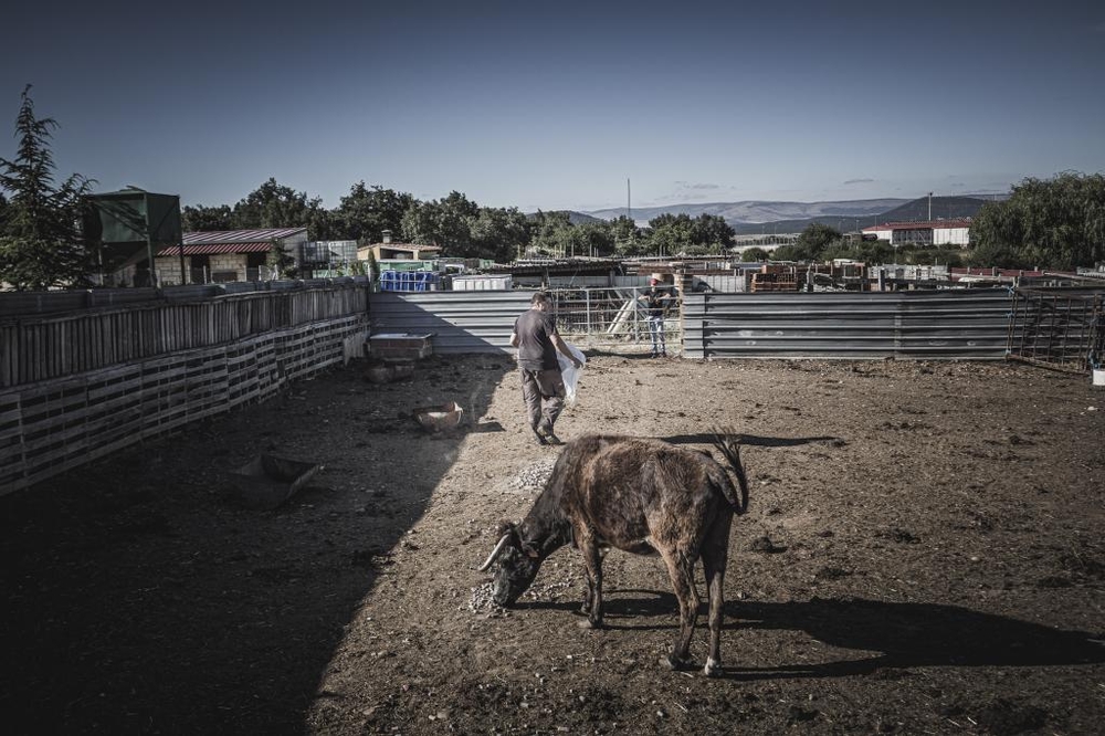 El Día de Soria