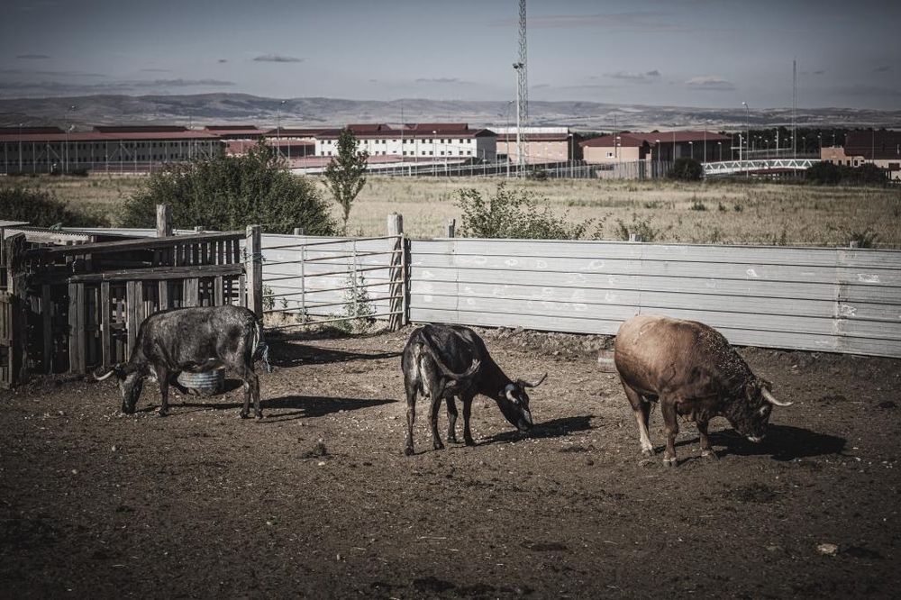 El Día de Soria