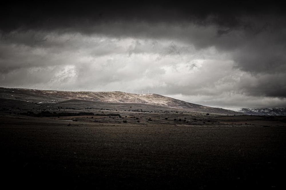 El Día de Soria