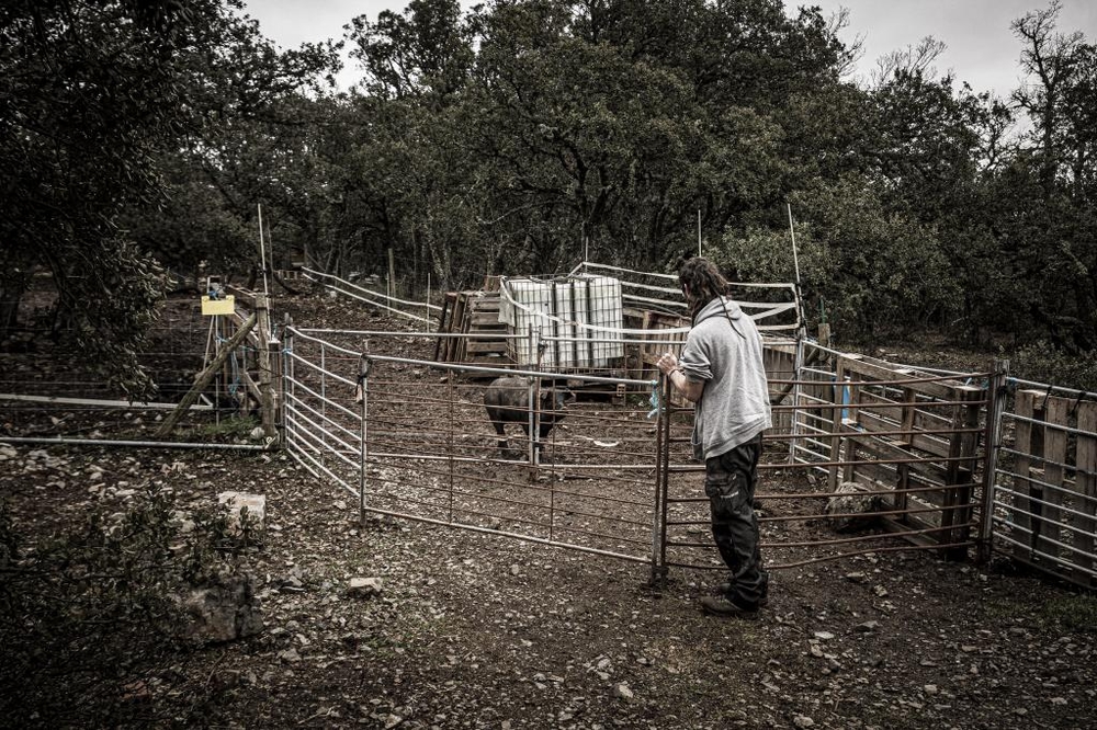 El Día de Soria