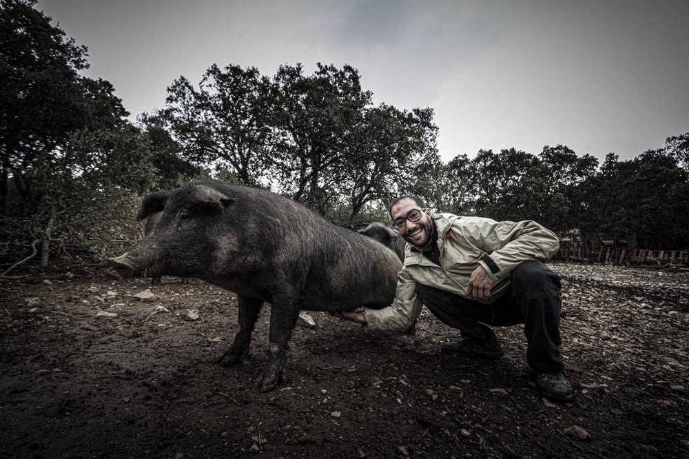 El Día de Soria