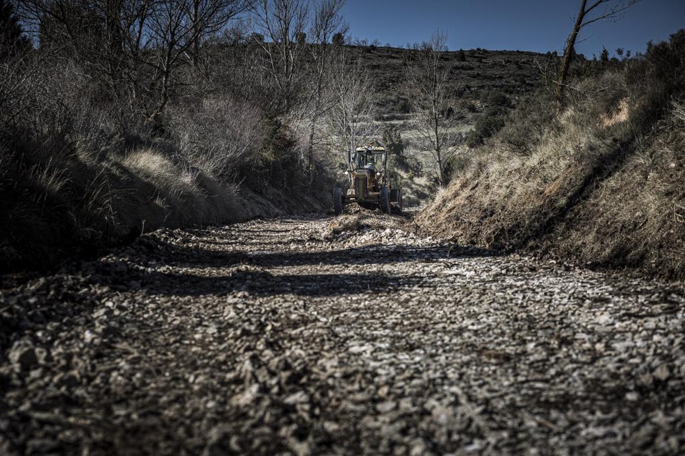 El Día de Soria