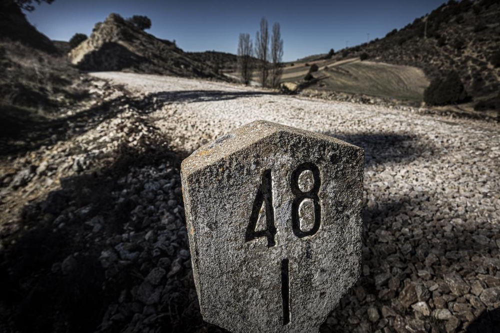 El Día de Soria