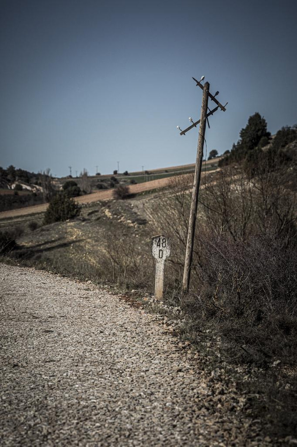 El Día de Soria