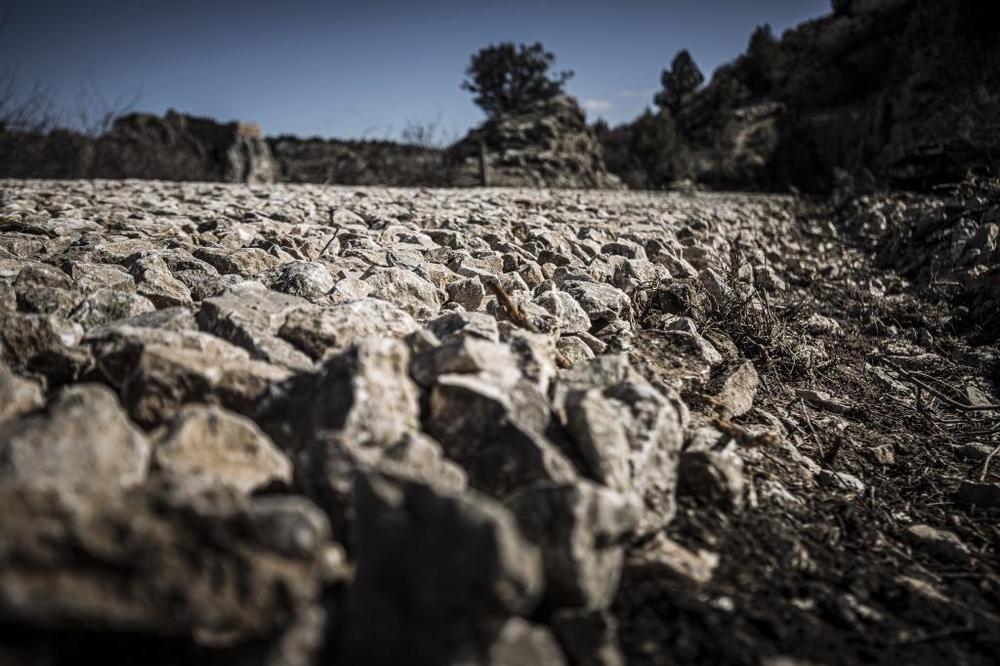 El Día de Soria