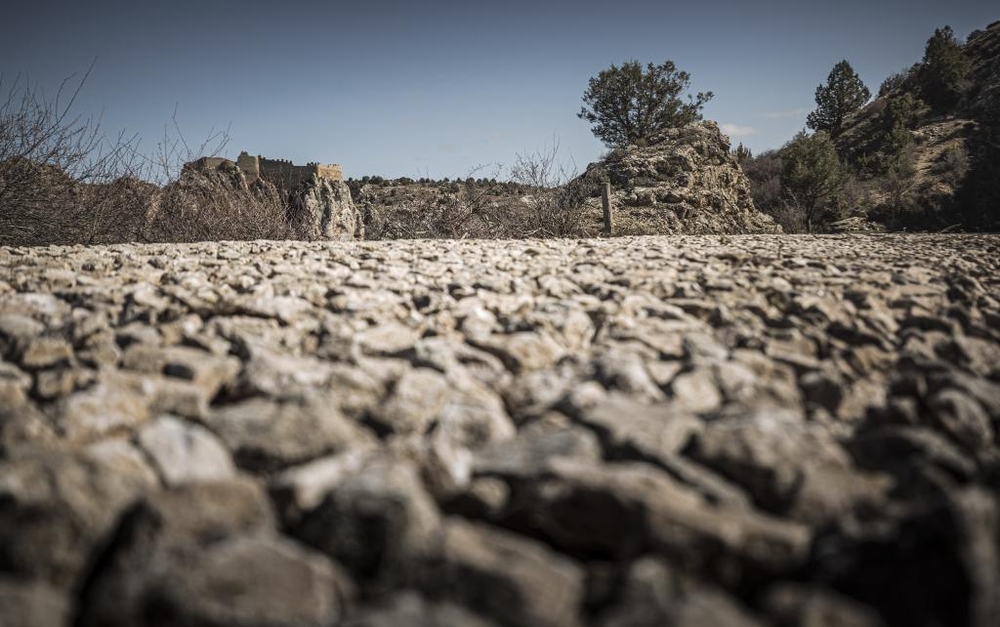 El Día de Soria