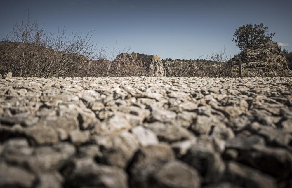 El Día de Soria