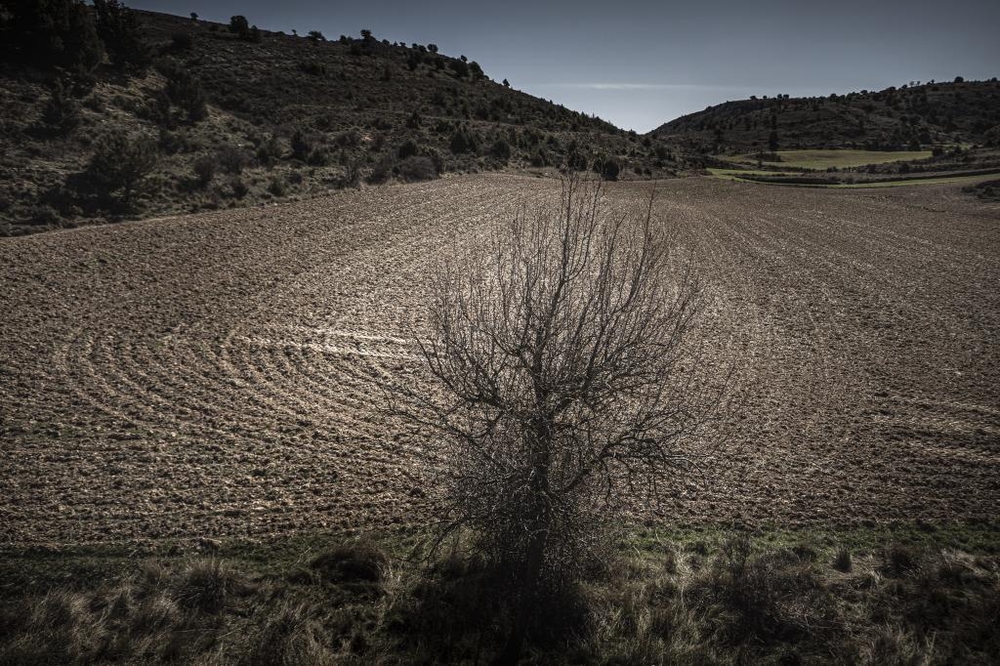 El Día de Soria