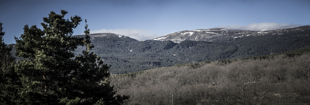 Día de la Red Natura: 18 espacios en Soria | Noticias El Día de Soria