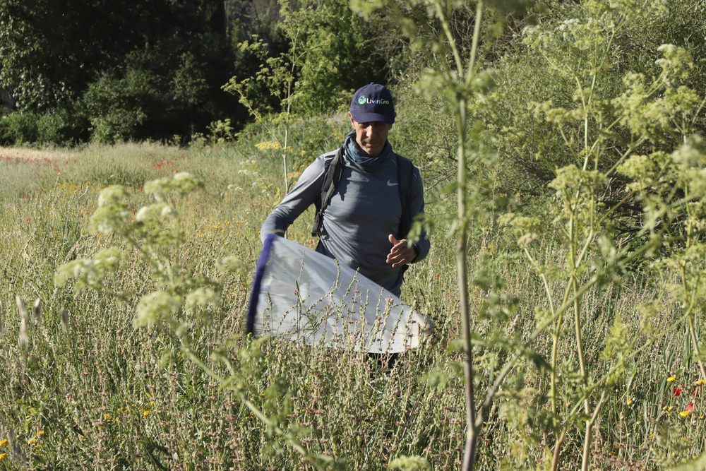 Flores para atraer vida y aumentar la producción