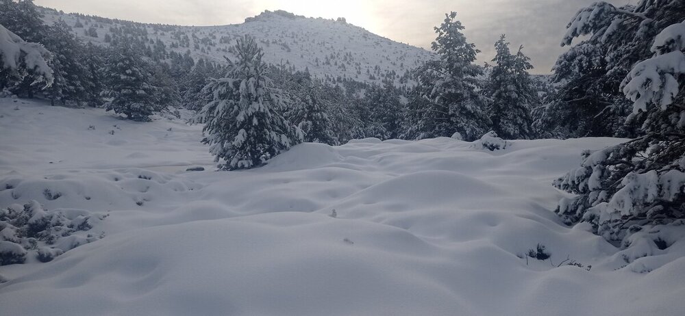 La nieve y el frío convierten a Urbión en la 'Laponia del sur'