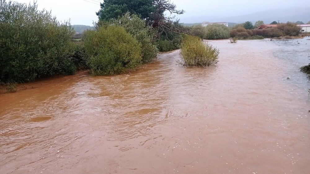 La crecida del Duero amenaza a los municipios pinariegos