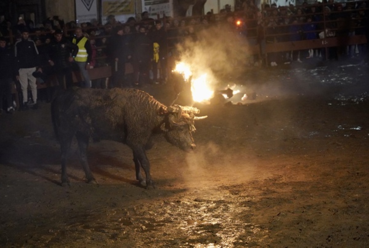 El Día de Soria