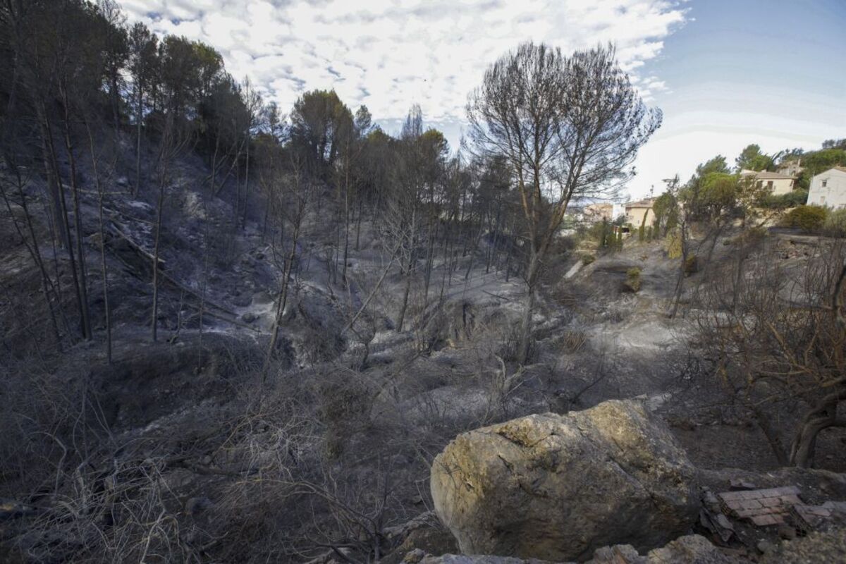 Incendio Montixelvo  / NATXO FRANCÉS