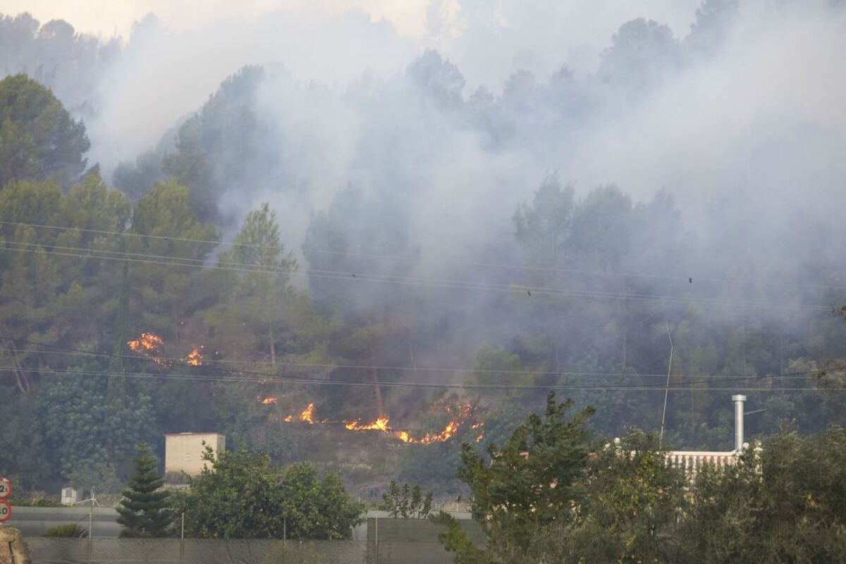 Incendio Montixelvo  / NATXO FRANCÉS