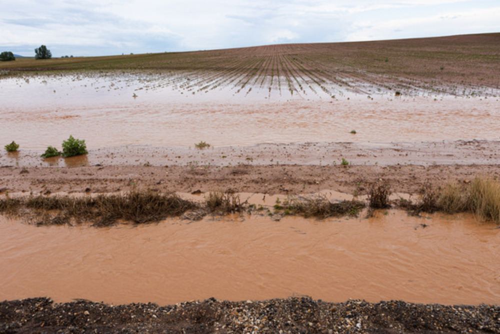 26 litros de agua por metro cuadrado en Soria capital