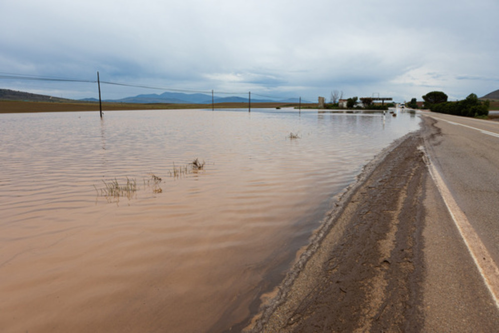 El Día de Soria