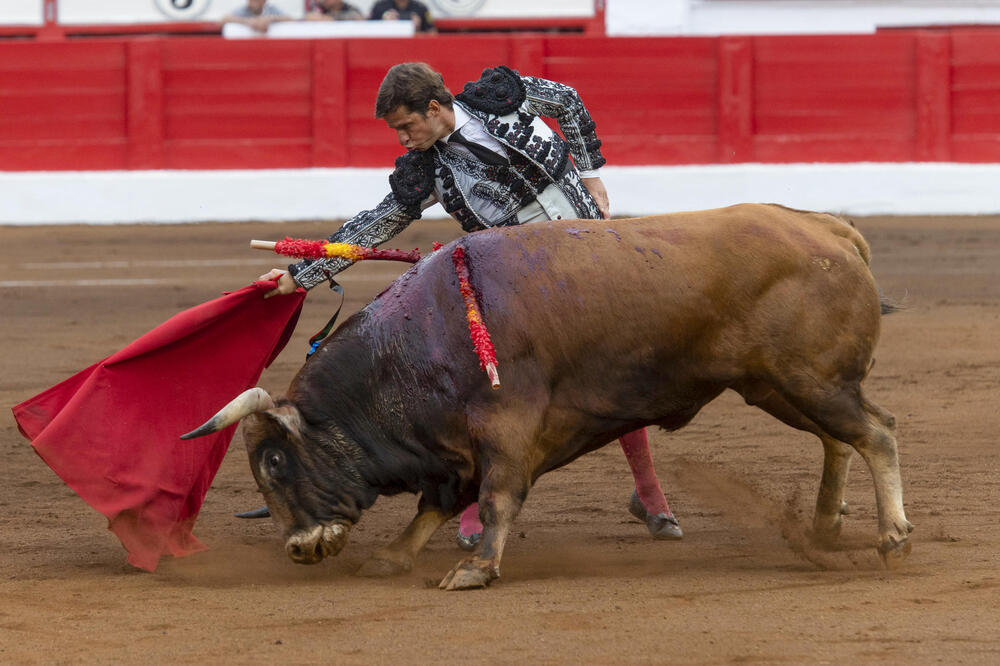 Una de las últimas actuaciones del Juli, durante el segundo día de la Feria de Santiago de Santander, en la que ha compartido cartel con Tomás Rufo y Miguel Ángel Perera, con toros de Domingo Hernández.  / EFE