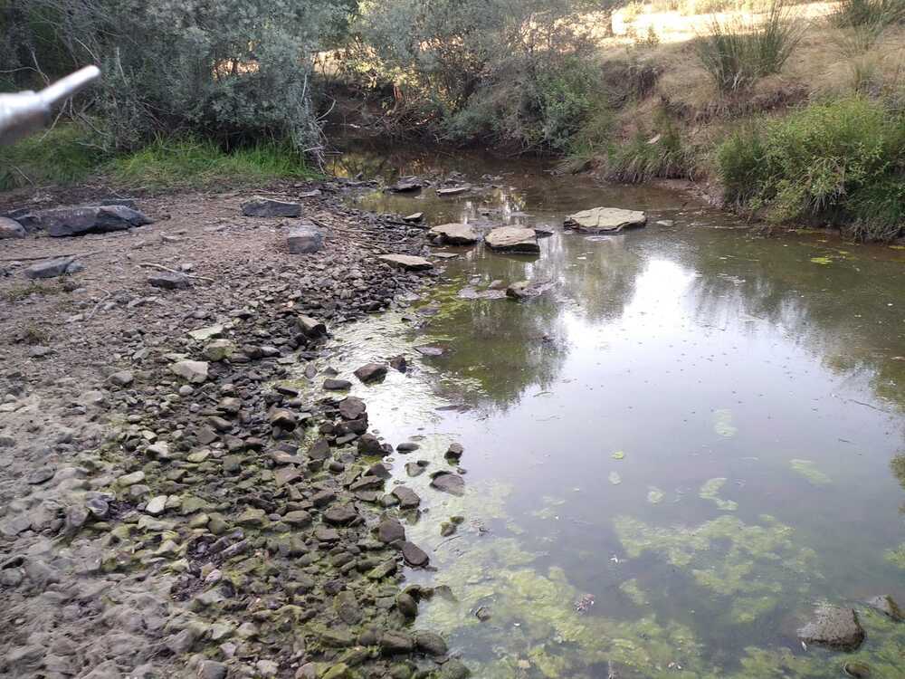 Los alcaldes alertan de la pérdida del cauce del río Razón