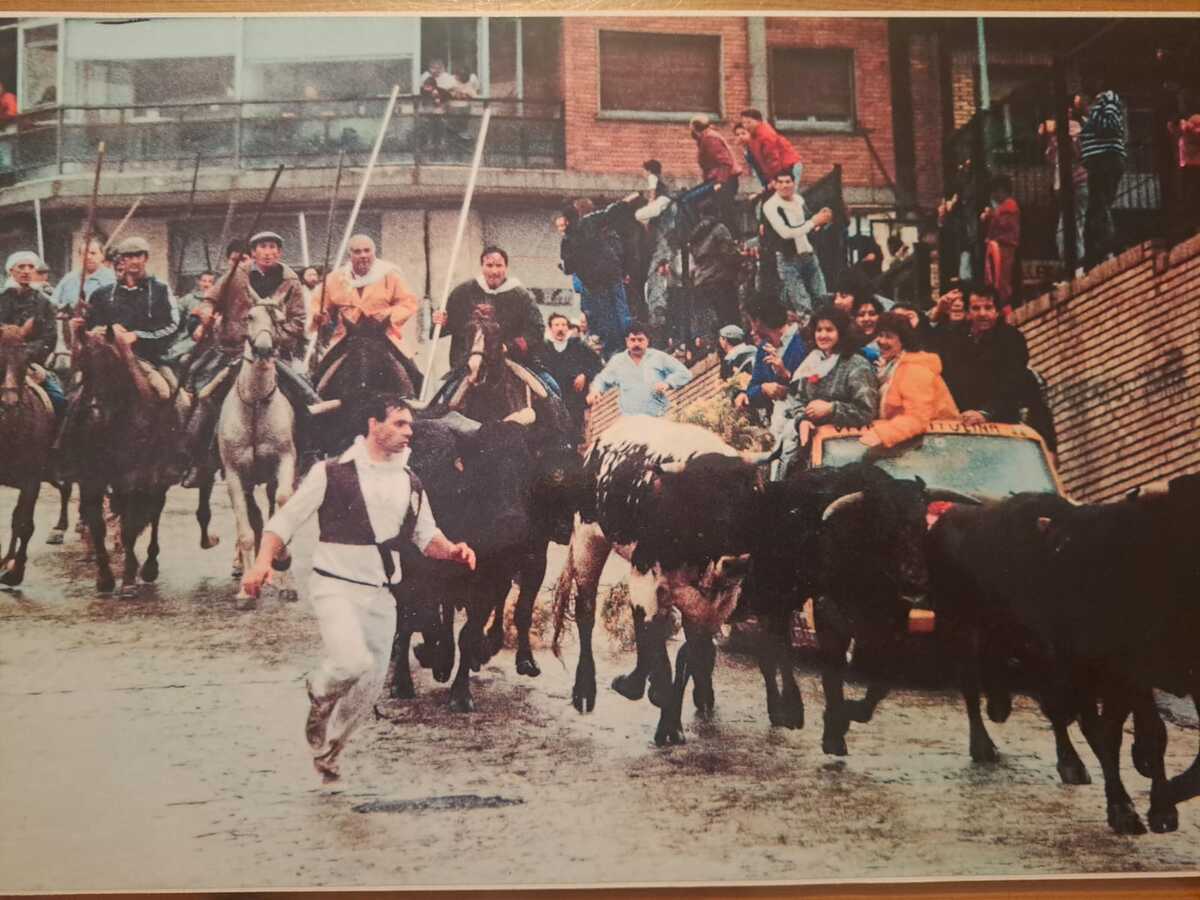 El Día de Soria