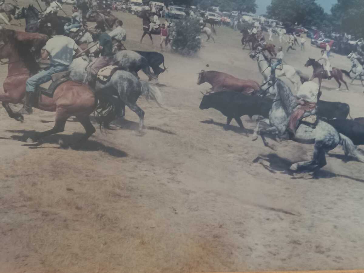 El Día de Soria