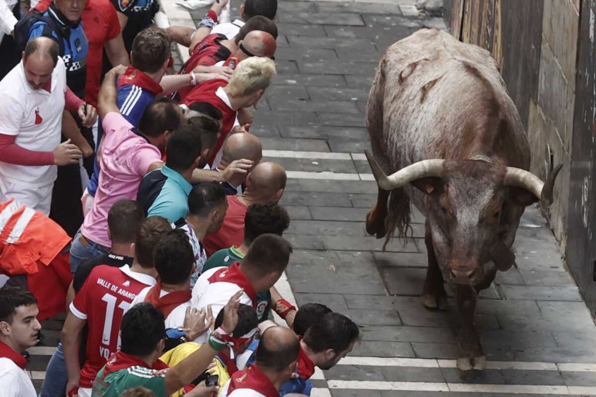 Los toros de Domingo Hernández en el quinto encierro de los Sanfermines  / JESUS DIGES