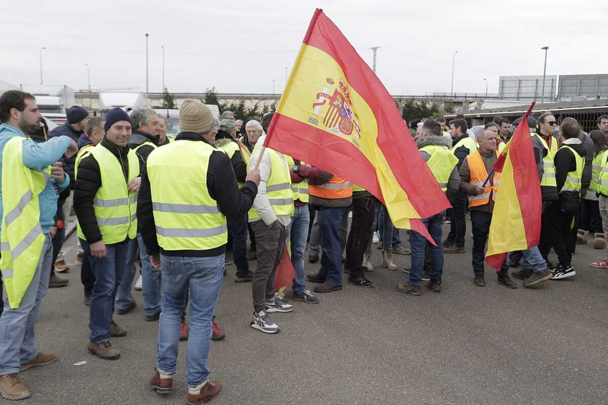 Los agricultores marchan en la protesta hacia la Subdelegación del Gobierno  / EUGENIO GUTIÉRREZ