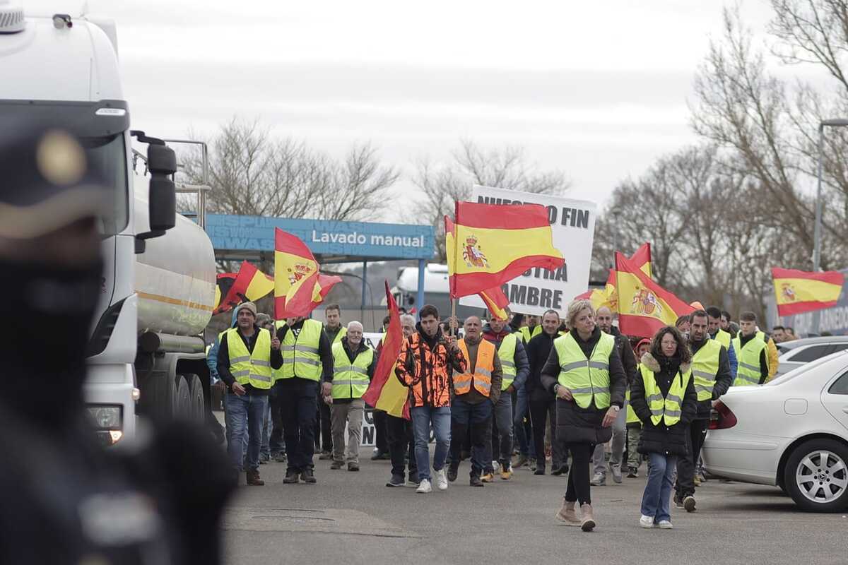 Los agricultores marchan en la protesta hacia la Subdelegación del Gobierno  / EUGENIO GUTIÉRREZ