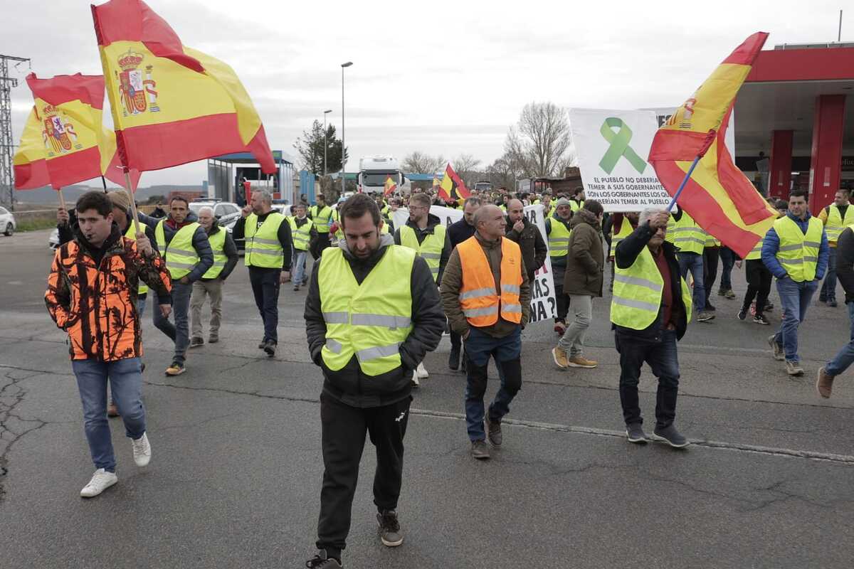 Los agricultores marchan en la protesta hacia la Subdelegación del Gobierno  / EUGENIO GUTIÉRREZ