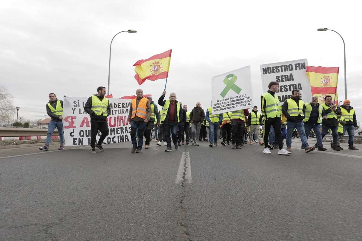 Los agricultores marchan en la protesta hacia la Subdelegación del Gobierno  / EUGENIO GUTIÉRREZ