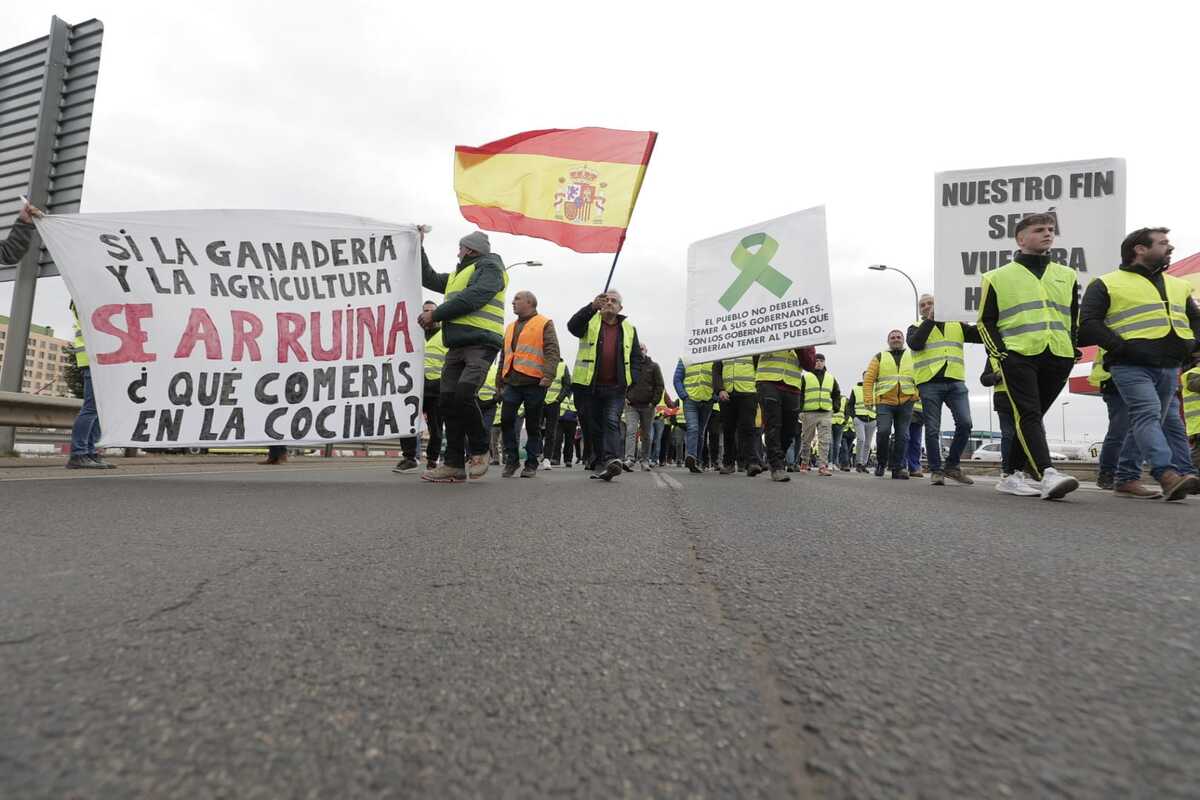 Los agricultores marchan en la protesta hacia la Subdelegación del Gobierno  / EUGENIO GUTIÉRREZ