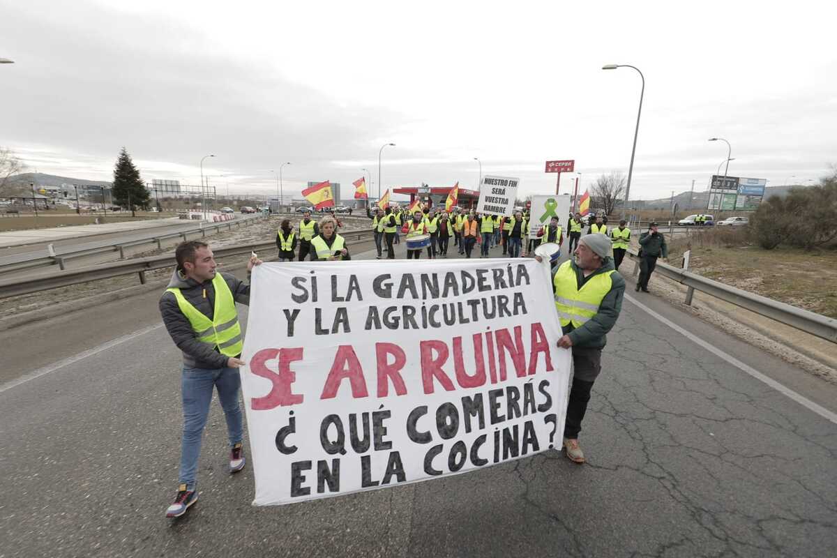 Los agricultores marchan en la protesta hacia la Subdelegación del Gobierno  / EUGENIO GUTIÉRREZ